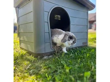 Pepita 2 ECO pet house 76x59x55cm brown/green Pets Qatar