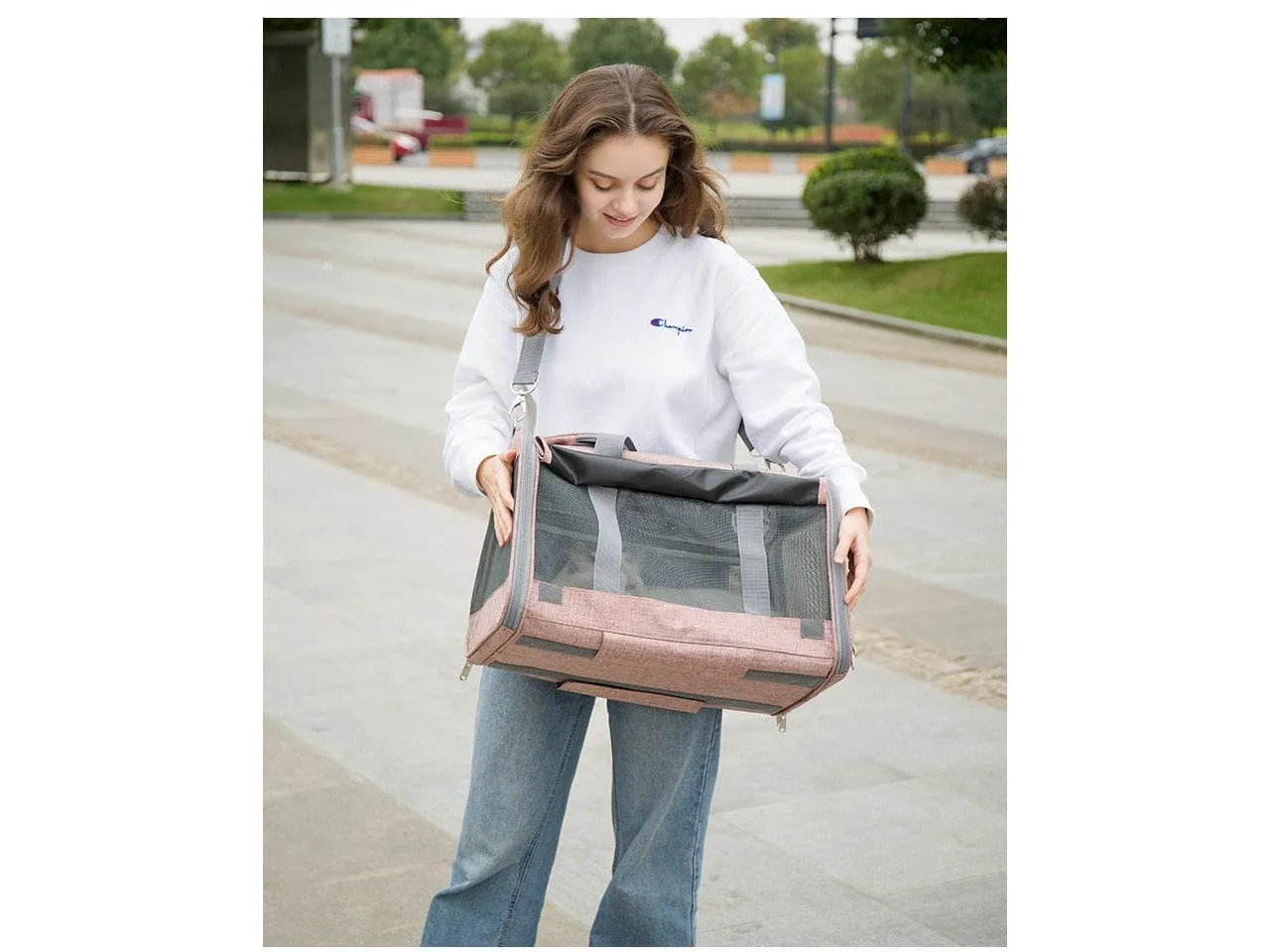 Pet Carriers Size:50*31*30.5 Pets Qatar