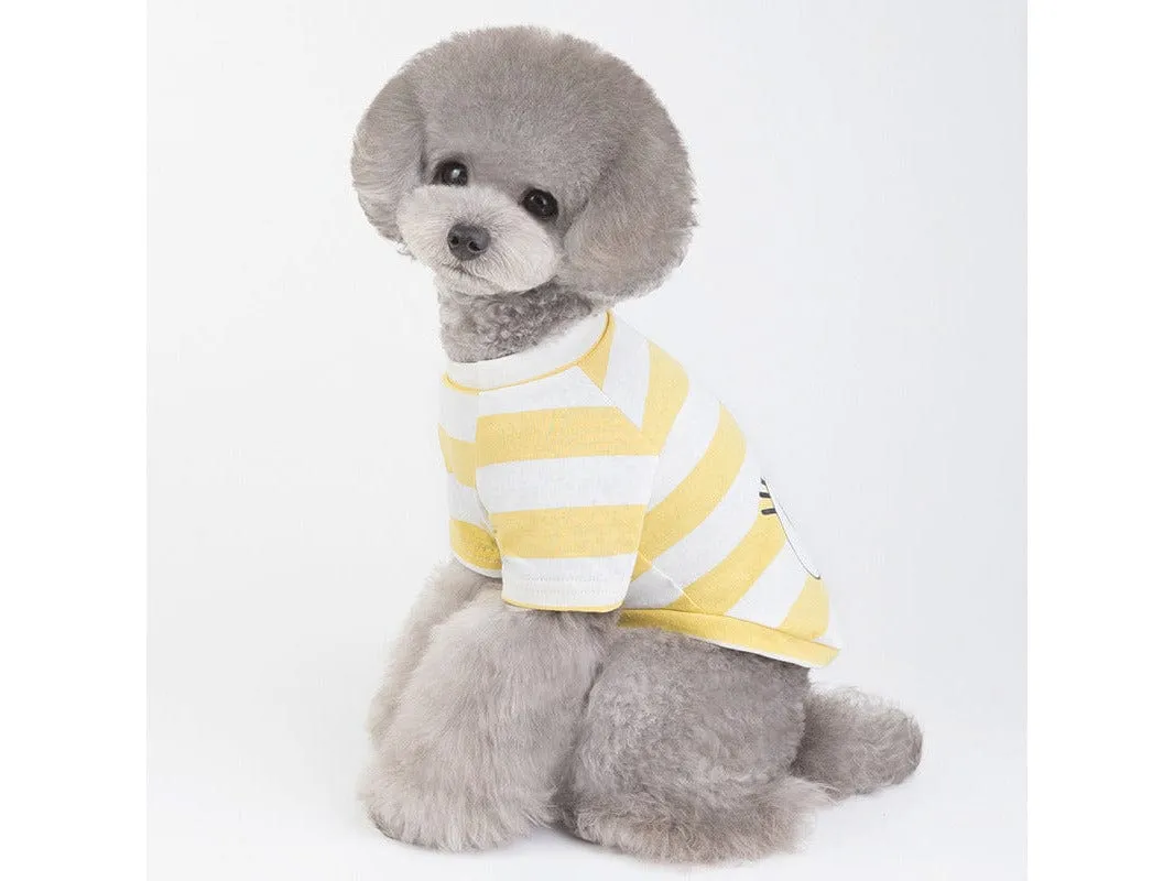 Pet Clothes Type 2 Pets Qatar