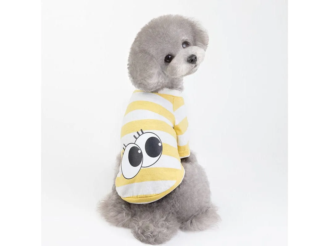 Pet Clothes Type 2 Pets Qatar