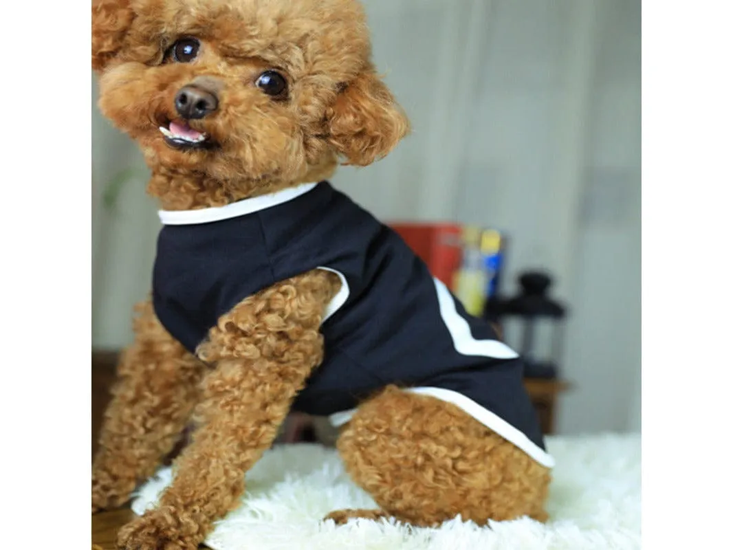 Pet Clothes Type 3 Pets Qatar