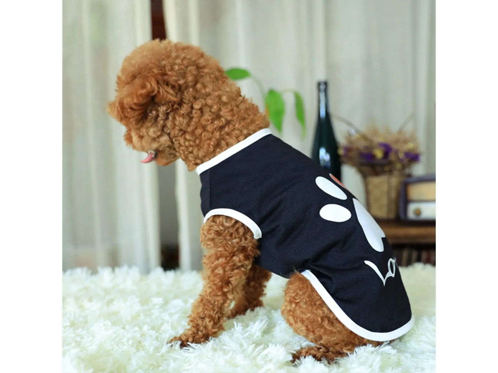Pet Clothes Type 4 Pets Qatar