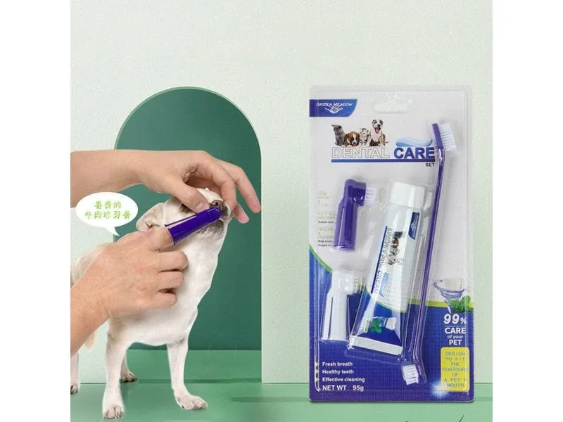Pet Teeth Cleaning Set as Photo Pets Qatar
