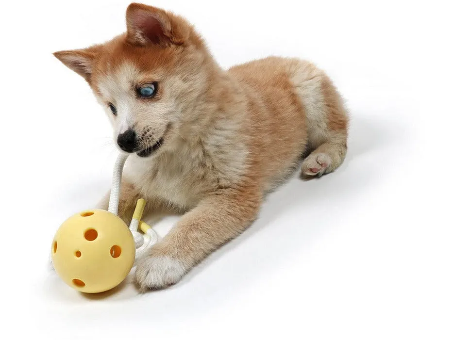 Petit Chew Toy Milo Pets Qatar