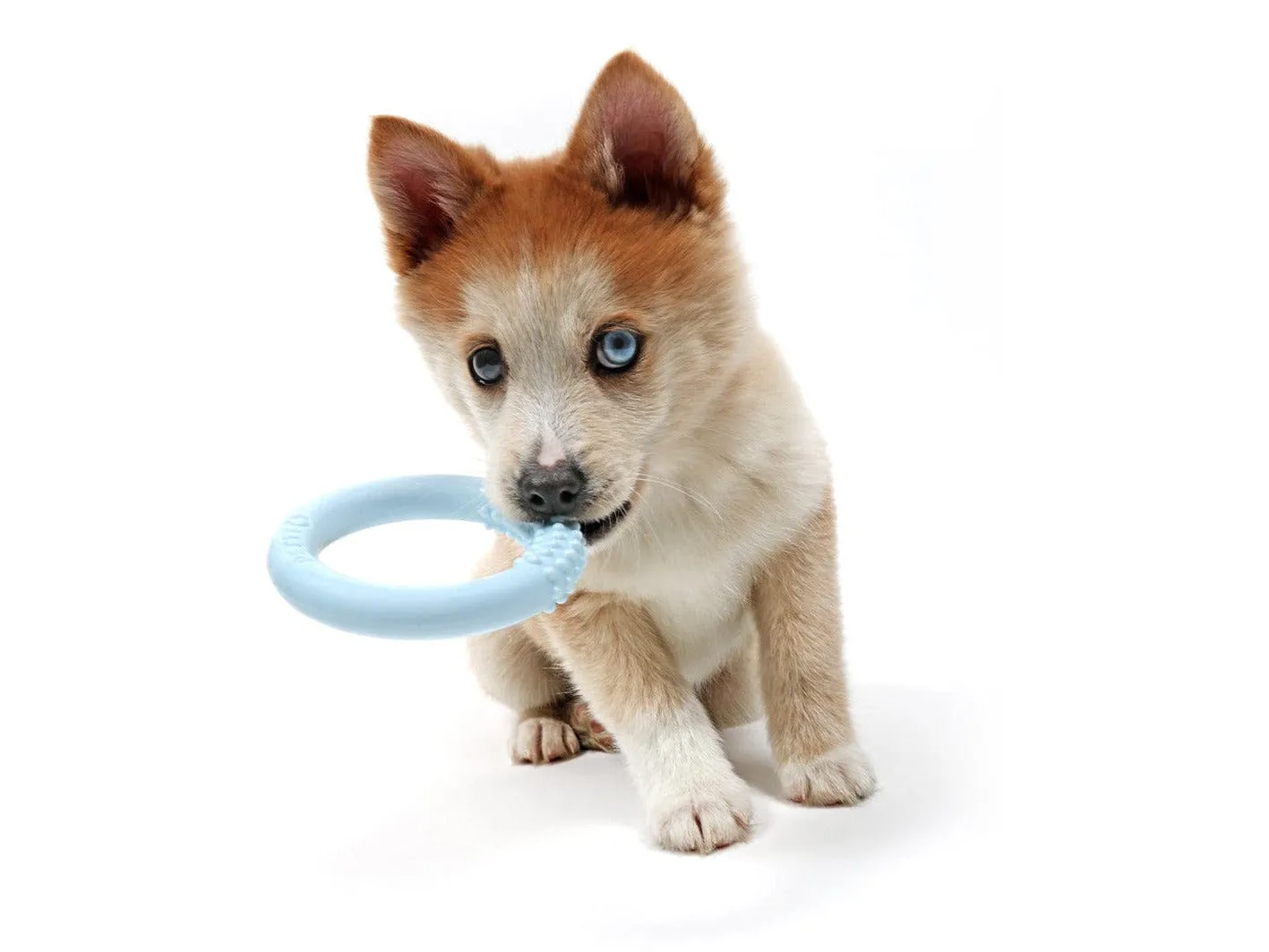 Petit Teething Toy Lola Pets Qatar