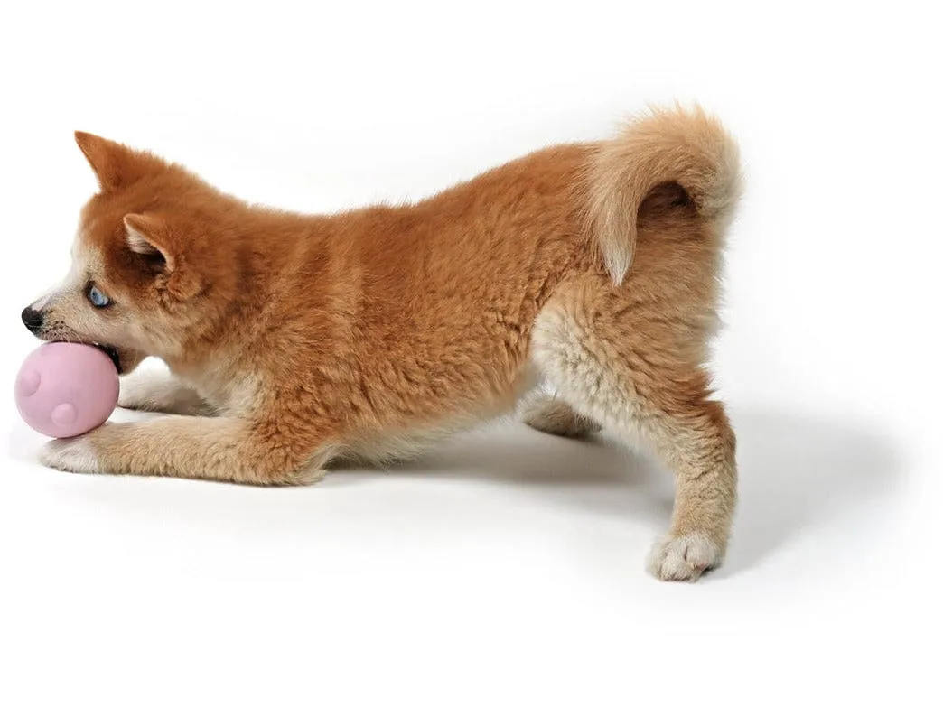 Petit Tumble Toy Balu 8X6X6Cm Yellow Pets Qatar