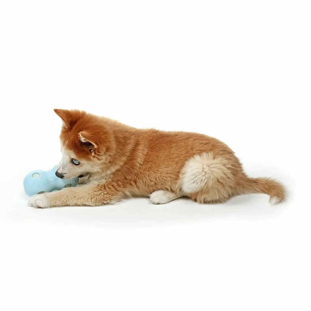PETIT WATER CHEW TOY COCO 12x6x6cm blue Pets Qatar