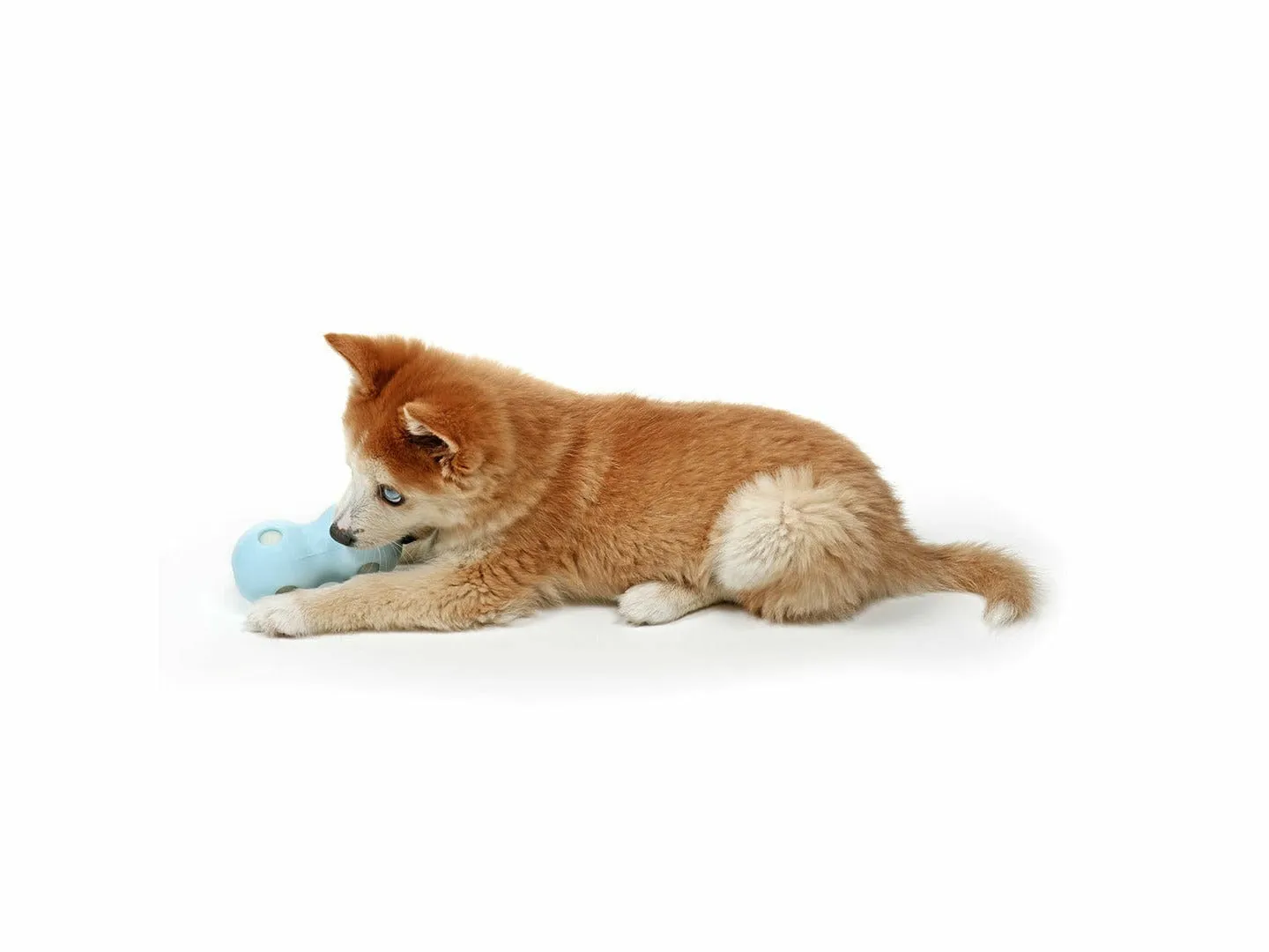 PETIT WATER CHEW TOY COCO 12x6x6cm pink Pets Qatar