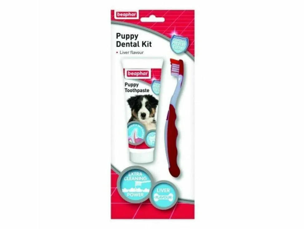 Puppy Dental Kit - 50g Pets Qatar