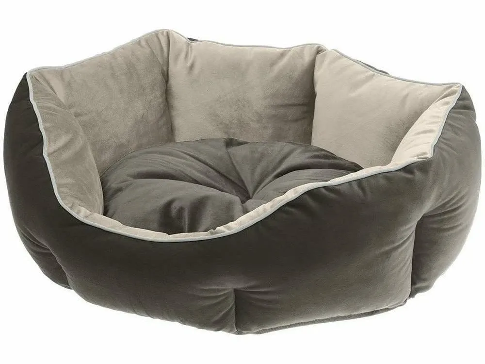 Queen 45 Beige Grey Kennel Pets Qatar