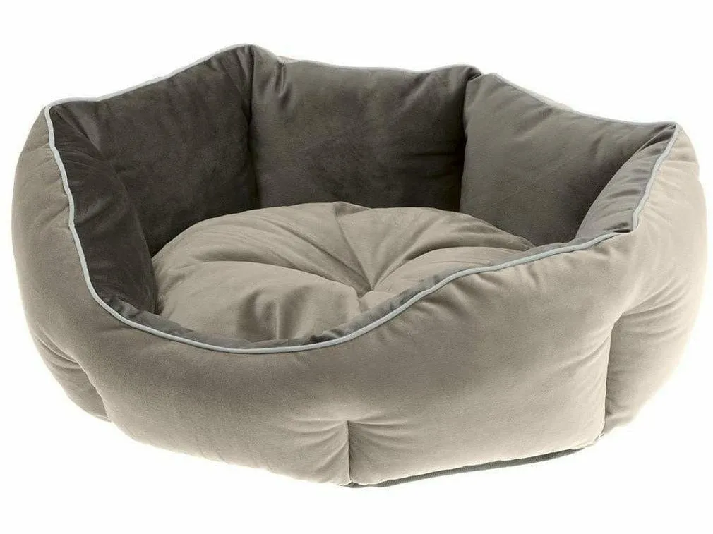 Queen 45 Beige Grey Kennel Pets Qatar