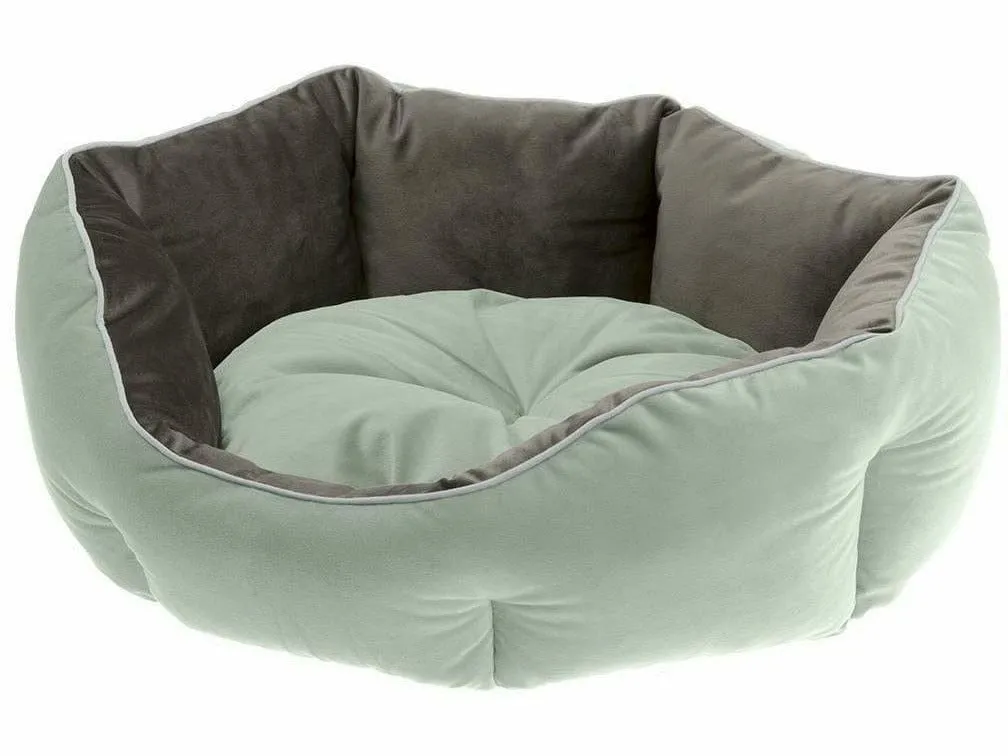 Queen 45 Green Grey Kennel Pets Qatar
