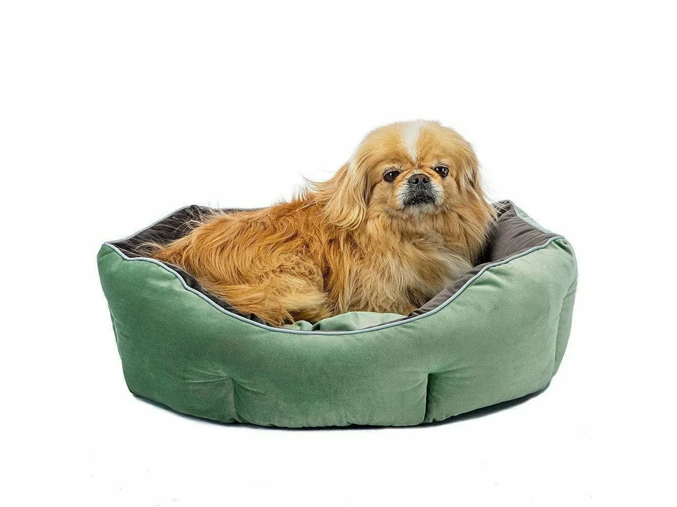 Queen 45 Green Grey Kennel Pets Qatar