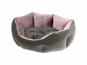 Queen 45 Purple Grey Door Pets Qatar