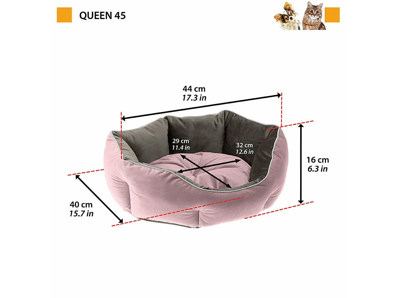 Queen 45 Purple Grey Door Pets Qatar