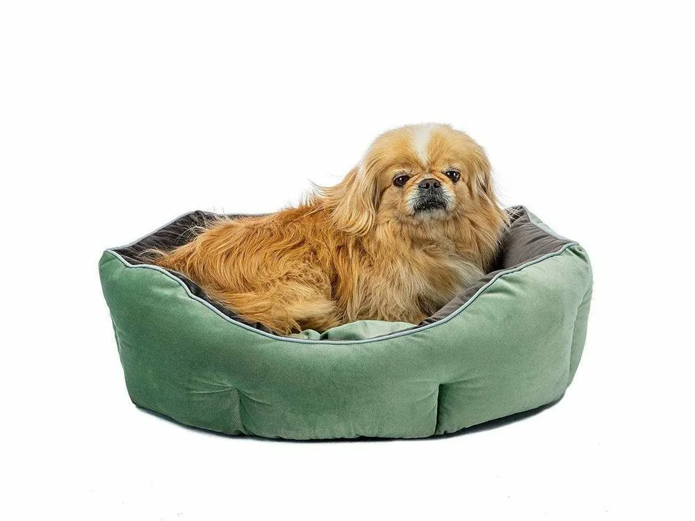 Queen 60 Green Grey Kennel Pets Qatar
