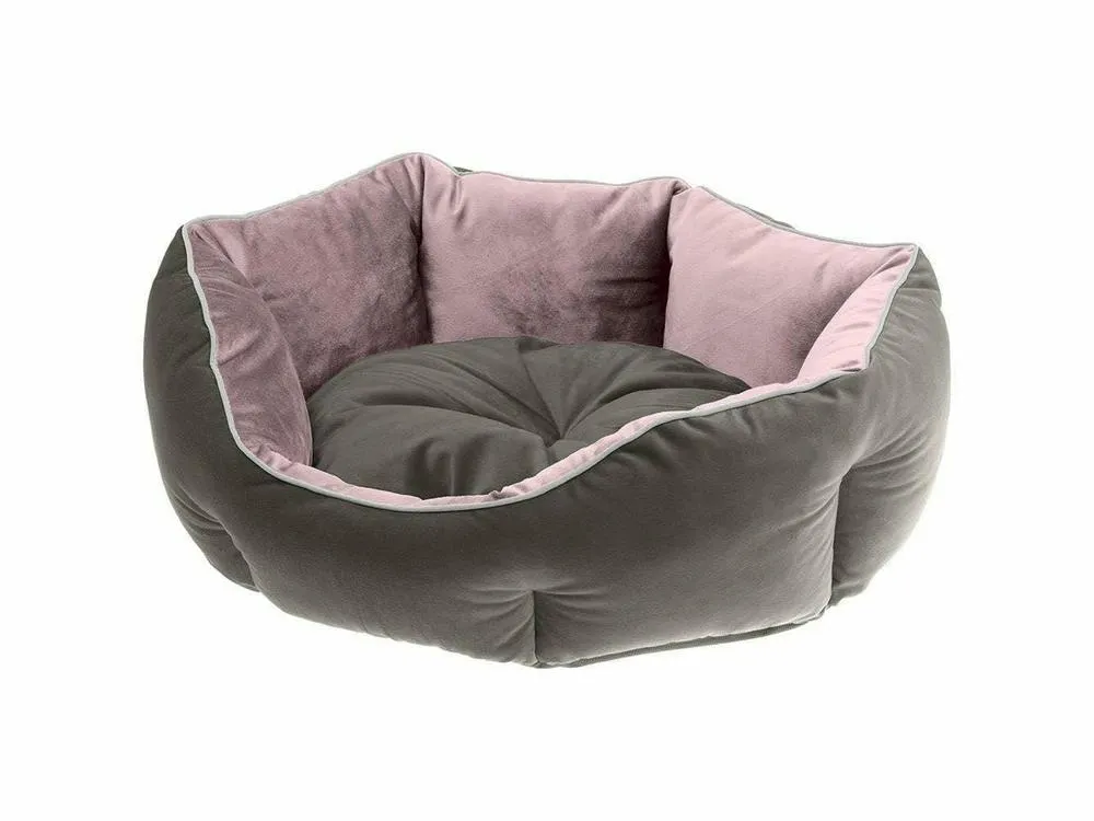 Queen 60 Purple Grey Door Pets Qatar