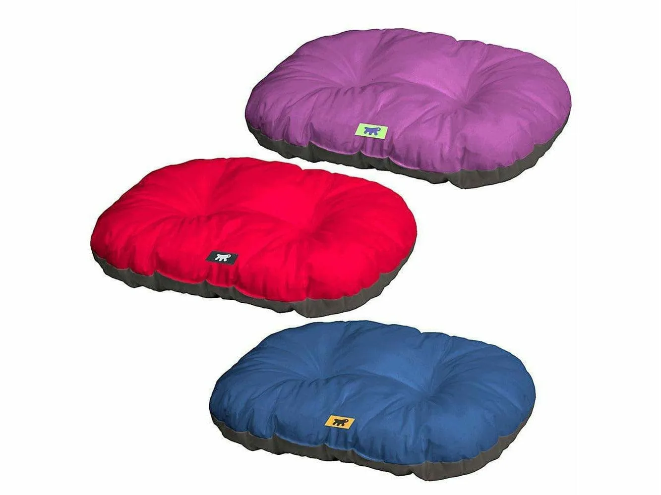 RELAX 55/4 C. ROSSO-VIOLA-BLU Pets Qatar