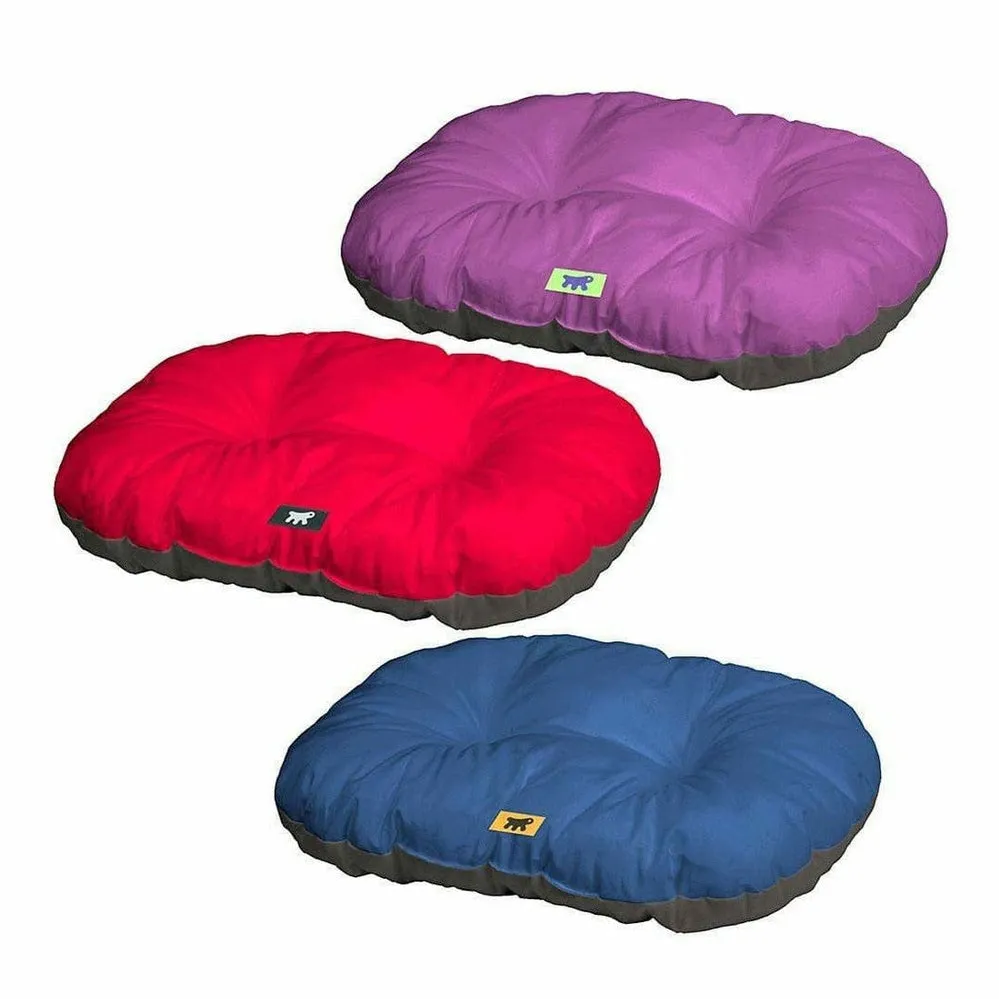 Relax 65/6 C Red Purple Blue Pets Qatar