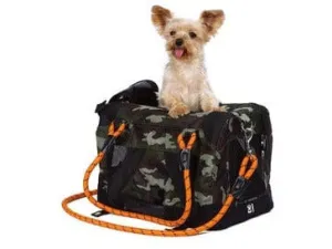 Remix Travel Carrier 2 In 1 With Leash/Shoulder Belt Pets Qatar