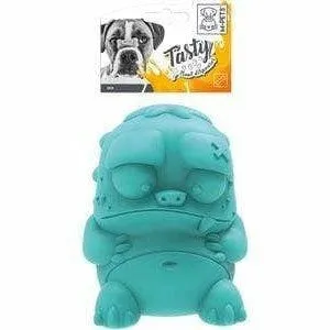 Rex - Blue Blue Pets Qatar