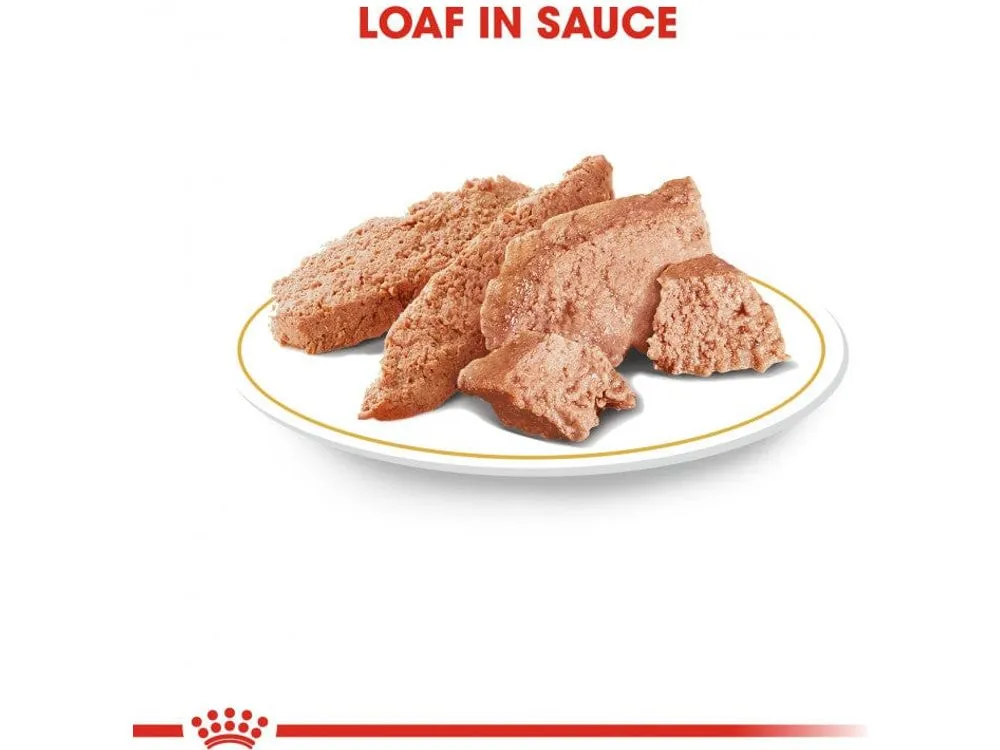 Royal Canin Breed Health Nutrition Poodle Adult (WET FOOD - Pouches)1X85G Pets Qatar