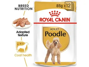 Royal Canin Breed Health Nutrition Poodle Adult (WET FOOD - Pouches)1X85G Pets Qatar