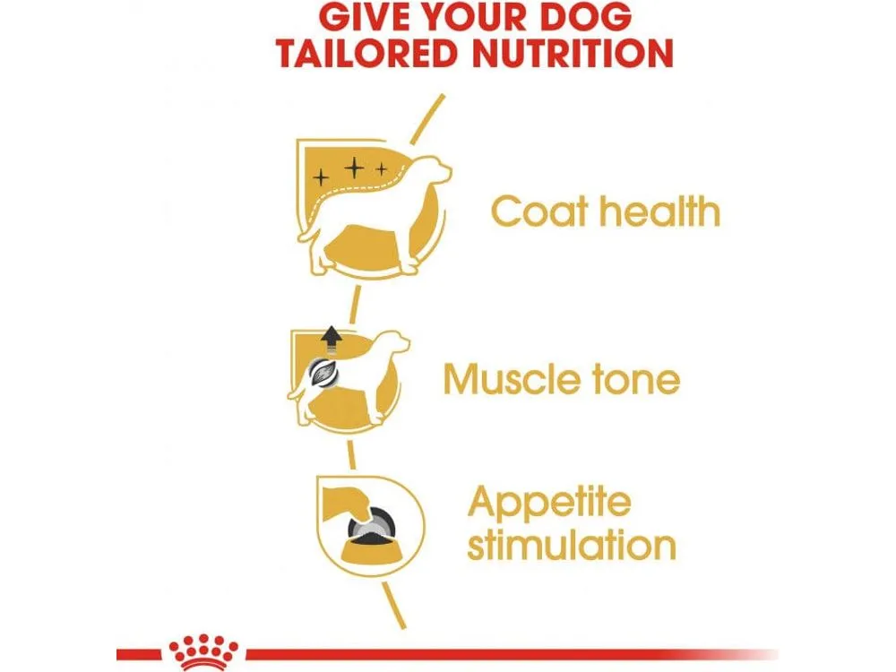 Royal Canin Breed Health Nutrition Poodle Adult (WET FOOD - Pouches)1X85G Pets Qatar