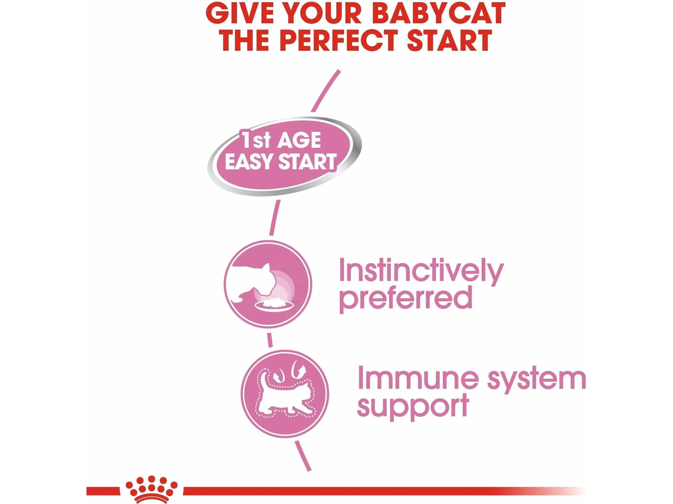 Royal Canin Feline Health Nutrition Mother & Babycat Mousse (WET FOOD - Cans) 12X195G Pets Qatar