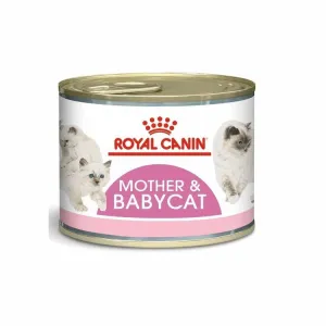 Royal Canin Feline Health Nutrition Mother & Babycat Mousse (WET FOOD - cans) 195 g Pets Qatar