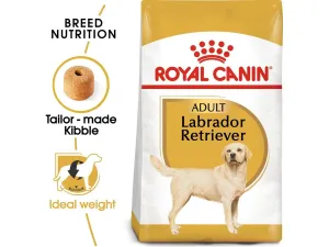 Royal Canine breed health nutrition labrador adult 12 kg Pets Qatar