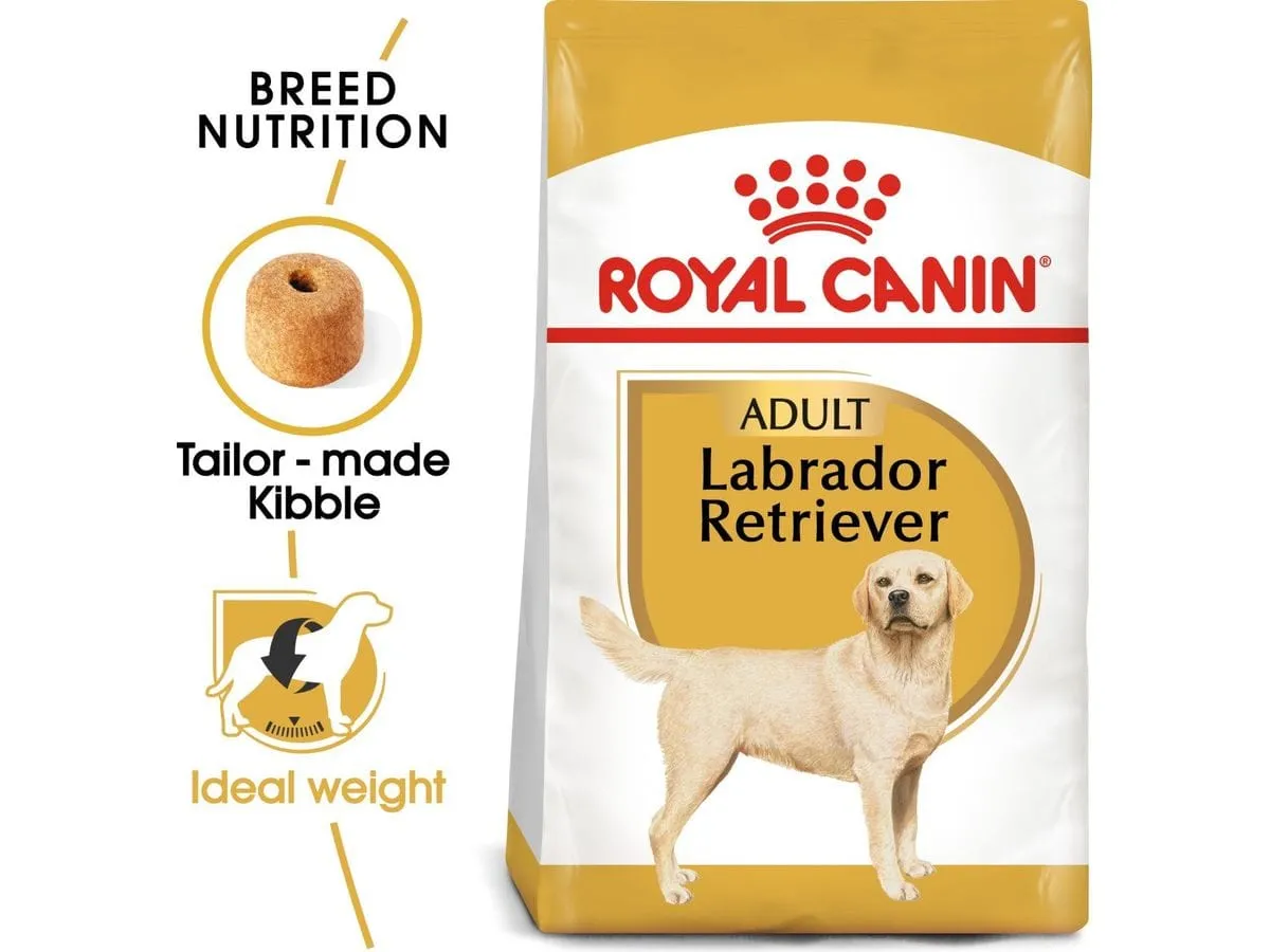 Royal Canine breed health nutrition labrador adult 12 kg Pets Qatar