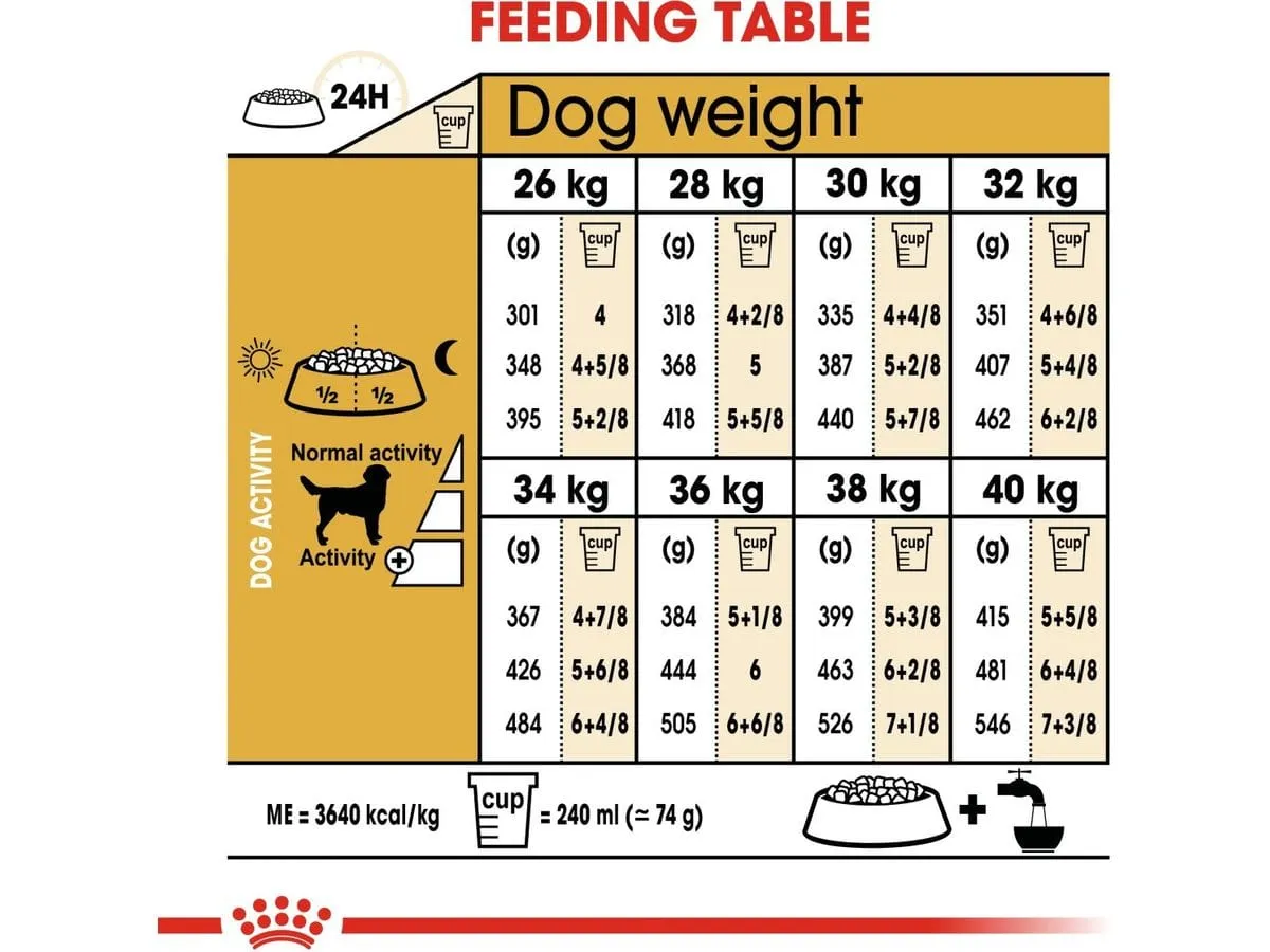 Royal Canine breed health nutrition labrador adult 12 kg Pets Qatar