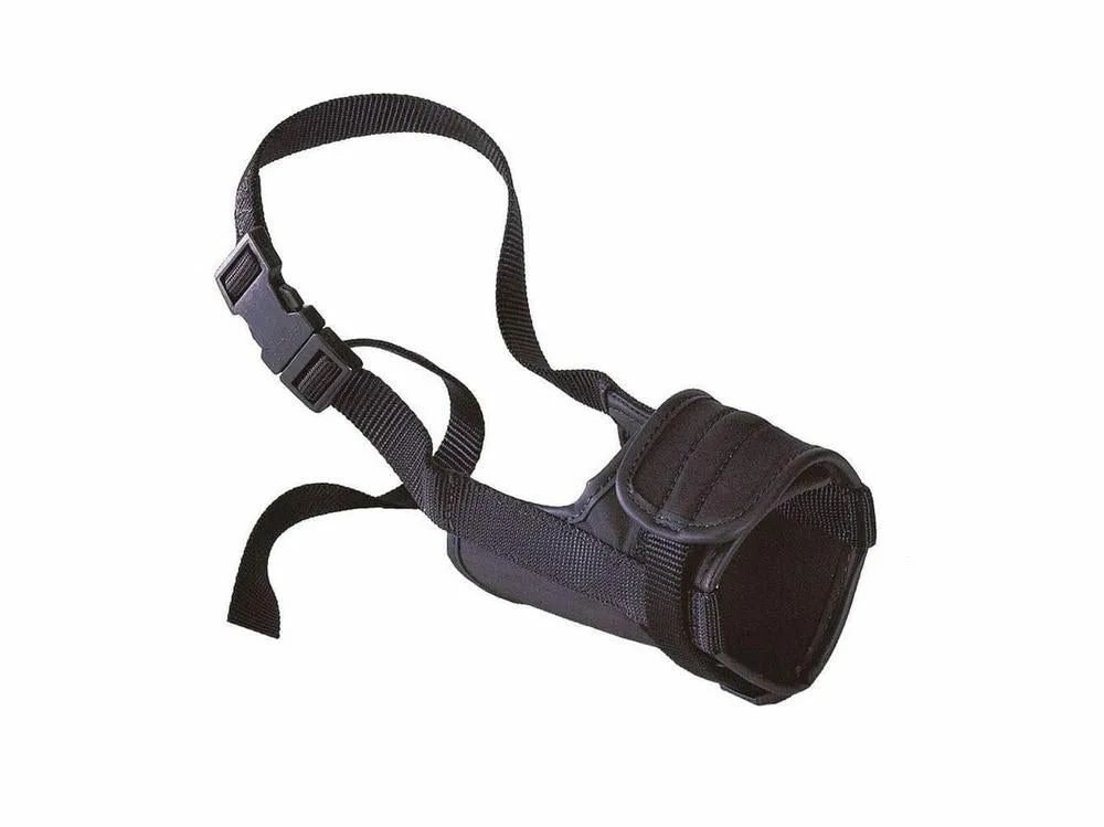 Safe Boxer Black Muzzle Pets Qatar