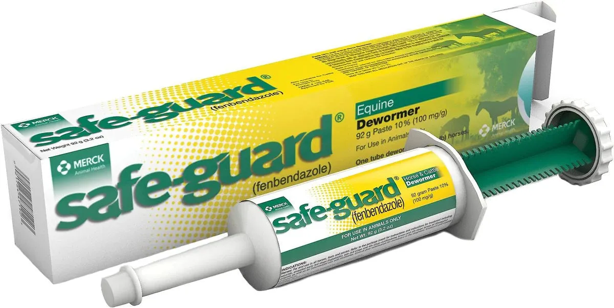 SAFE-GUARD PASTE 92G