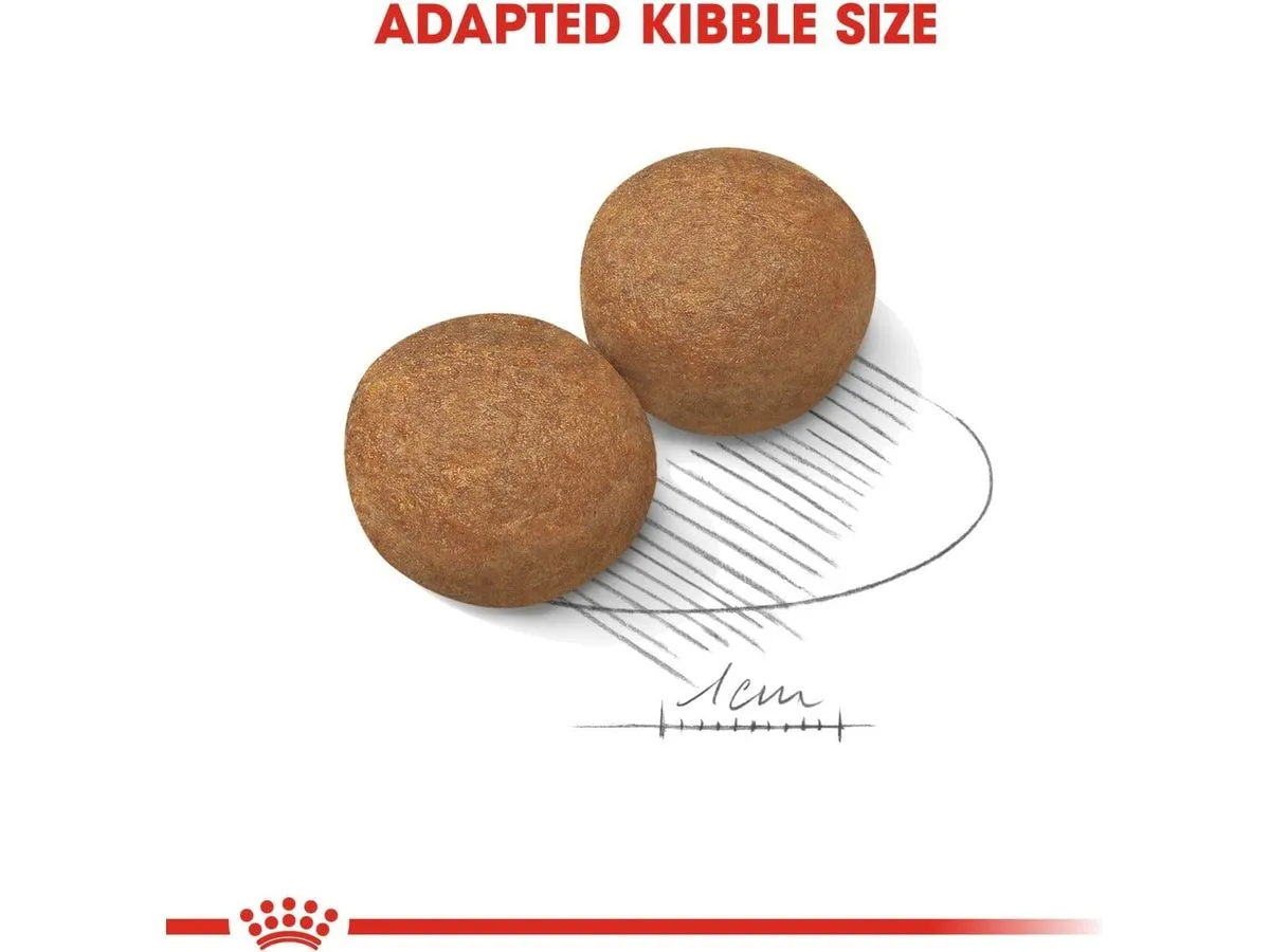 Size Health Nurtition Maxi adult 4 KG Pets Qatar