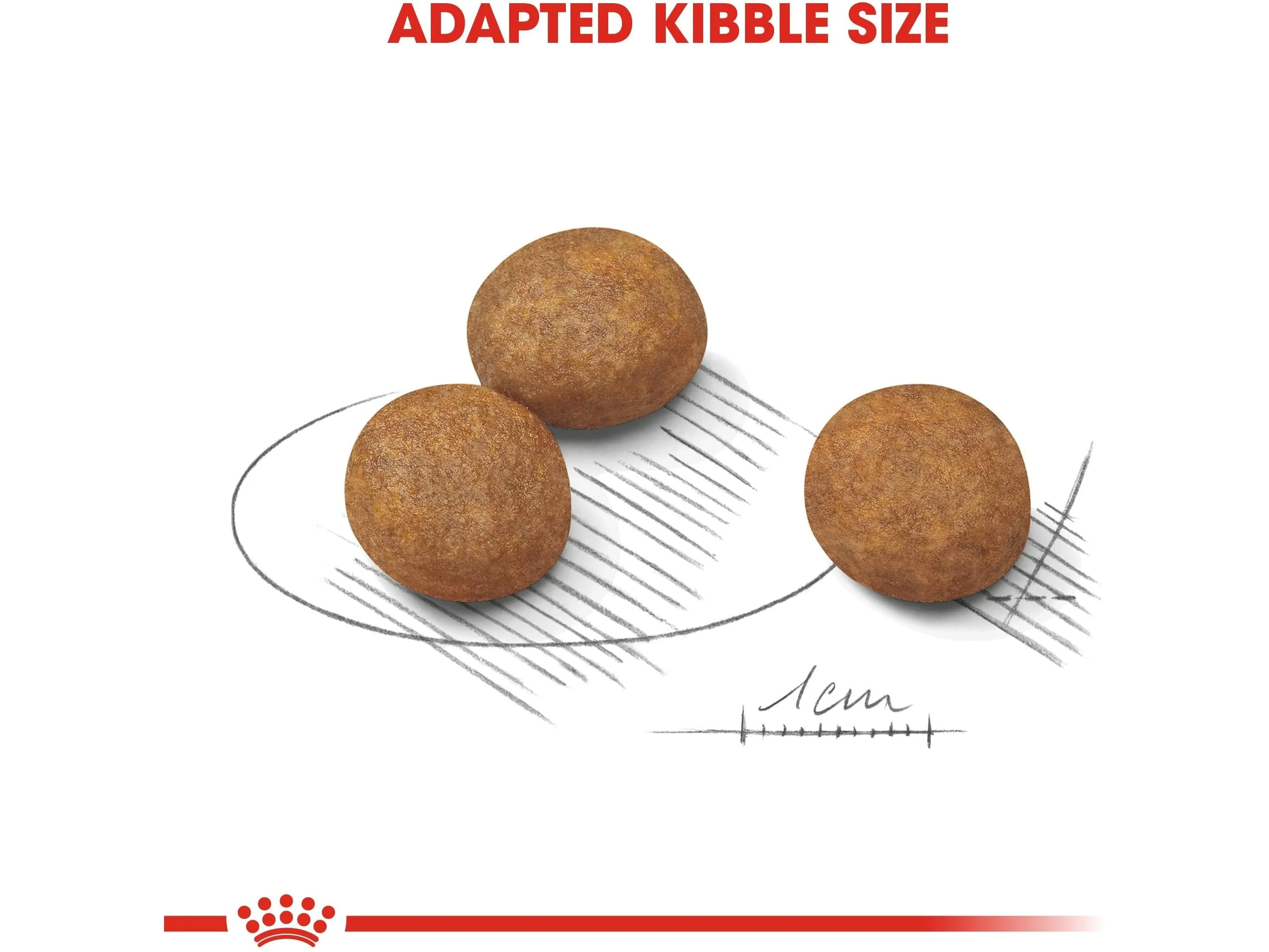 Size Health Nutrition Maxi Puppy 1 KG Pets Qatar