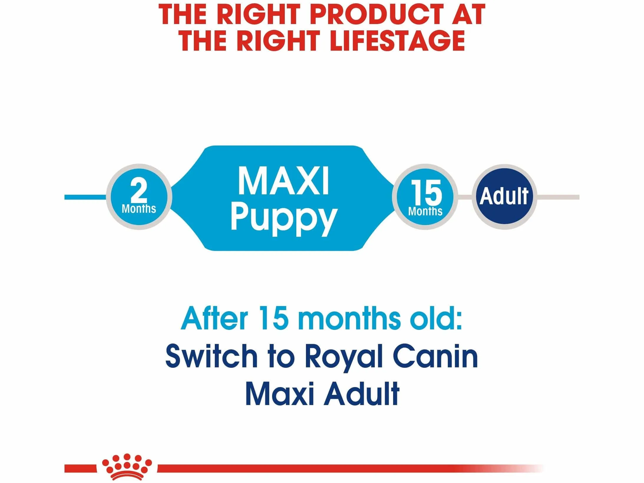 Size Health Nutrition Maxi Puppy 1 KG Pets Qatar
