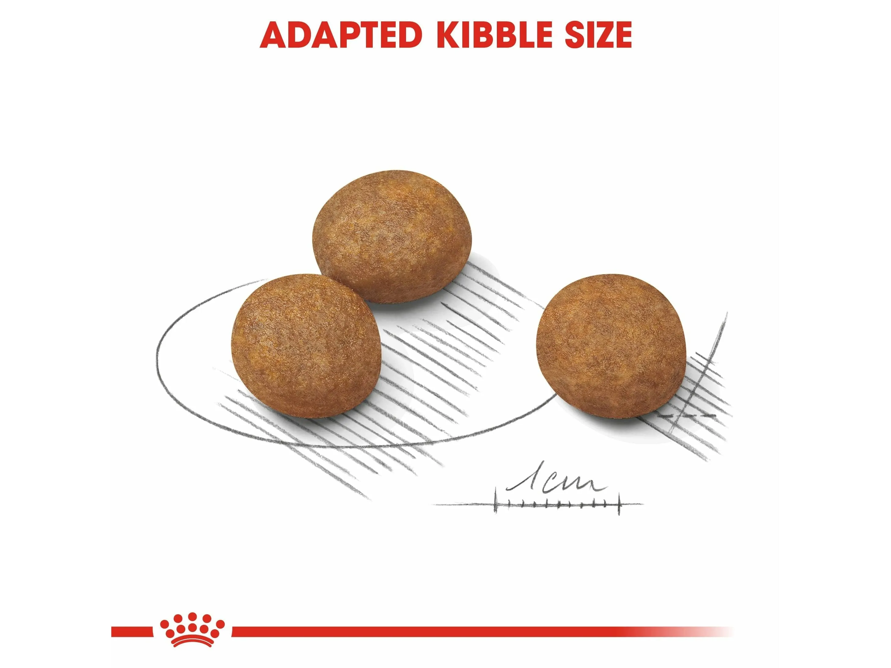 Size Health Nutrition Maxi Puppy 10 Kg Pets Qatar