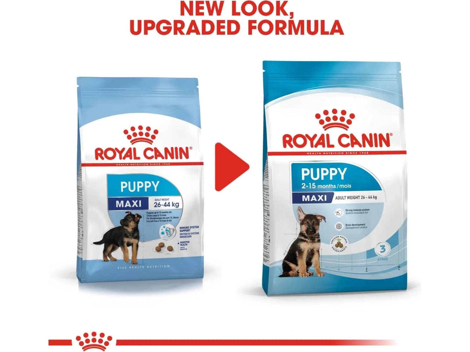 Size Health Nutrition Maxi Puppy 15 KG Pets Qatar