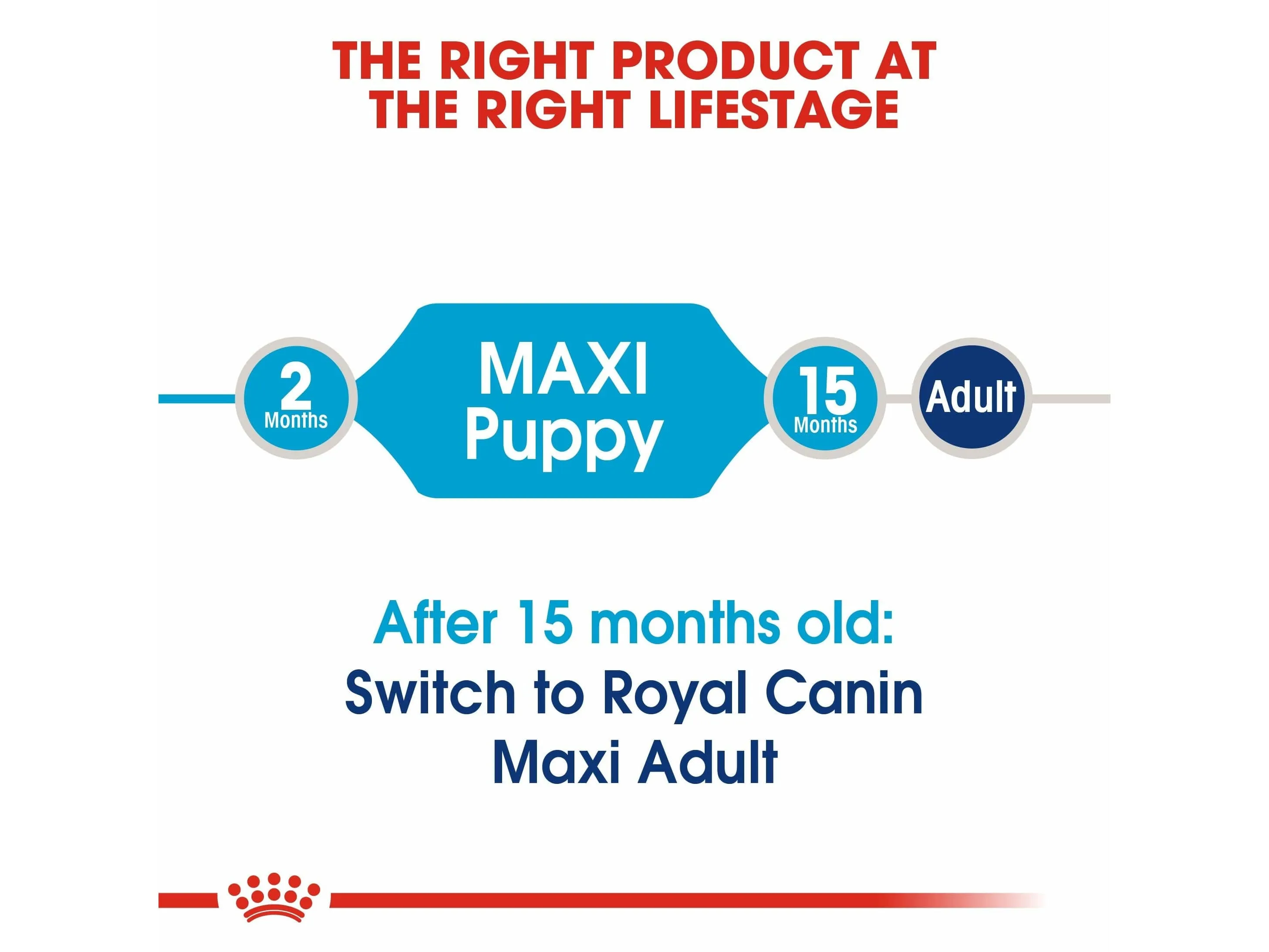 Size Health Nutrition Maxi Puppy 4 KG Pets Qatar