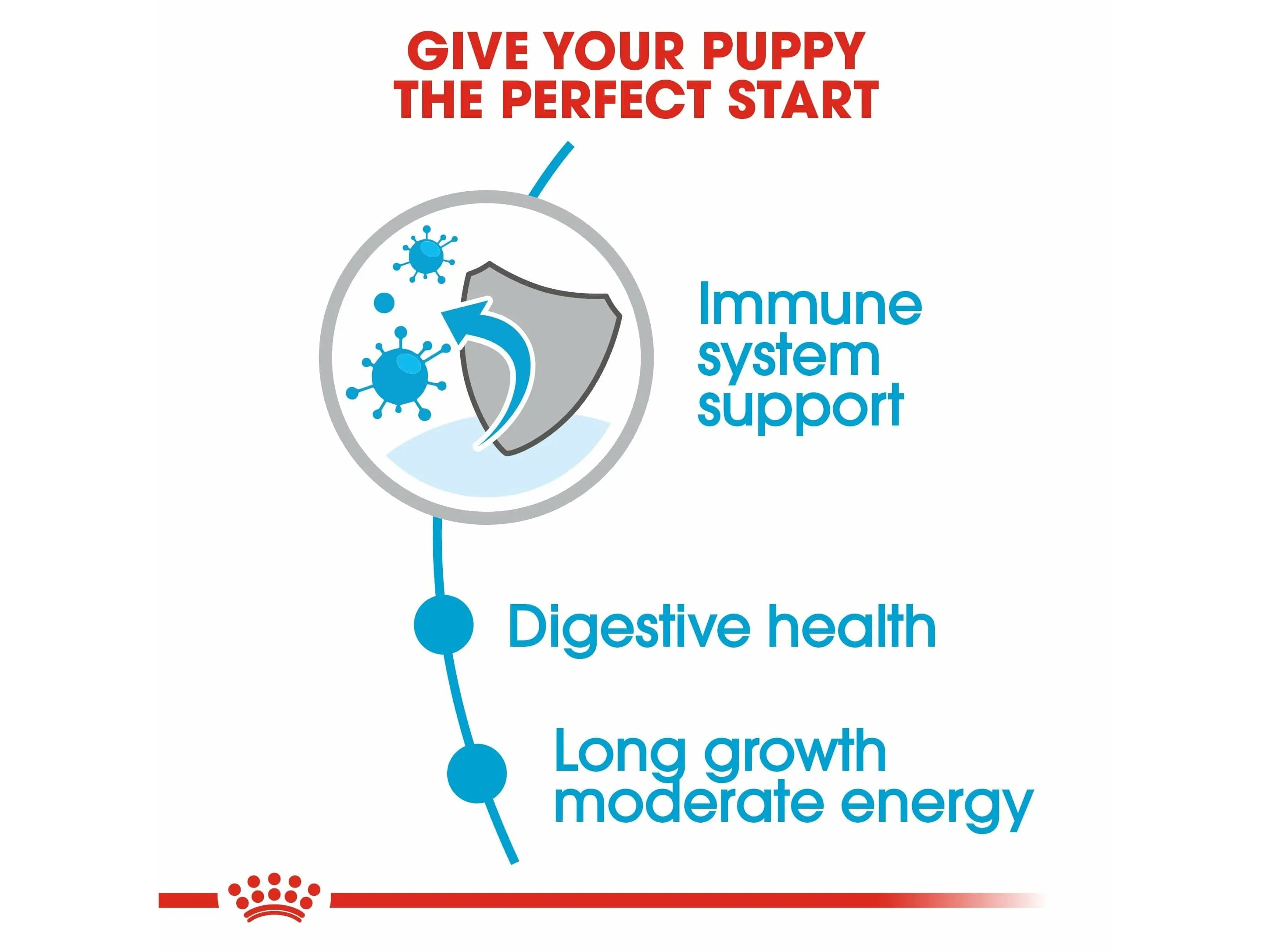 Size Health Nutrition Maxi Puppy 4 KG Pets Qatar