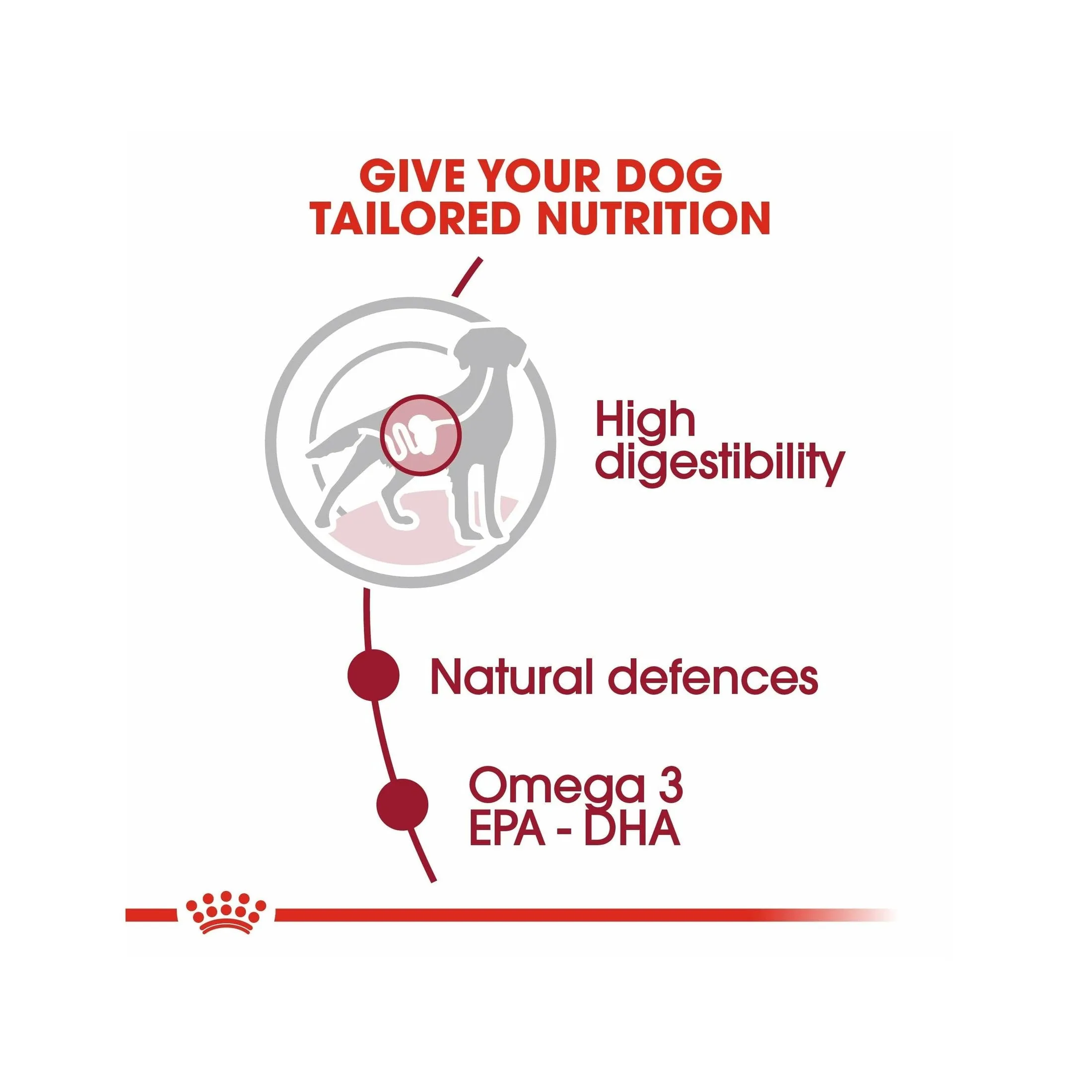 Size Health Nutrition Medium Adult 10x140g (Wet Food - Pouches) Pets Qatar