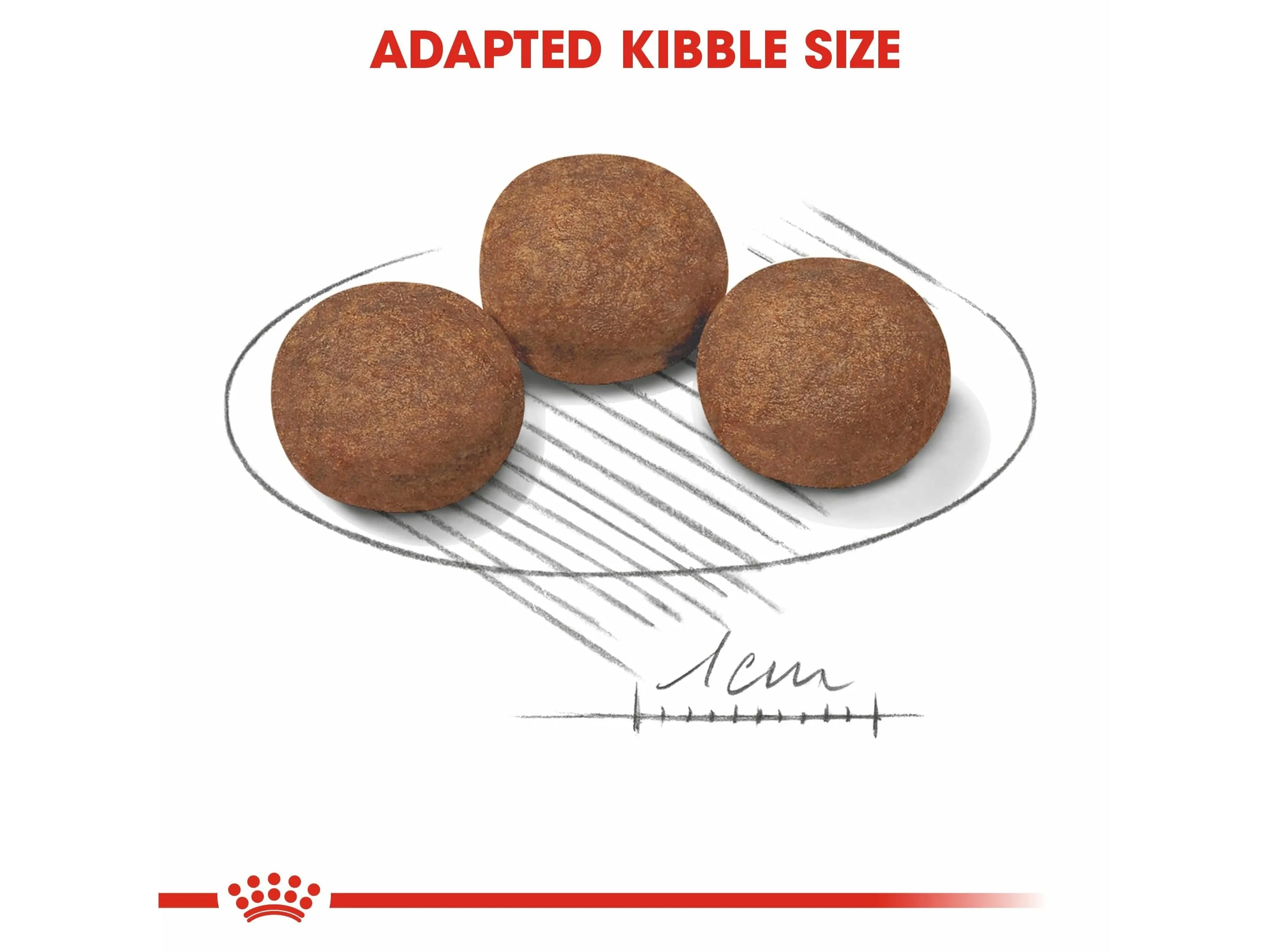 Size Health Nutrition Medium Puppy 10 KG Pets Qatar