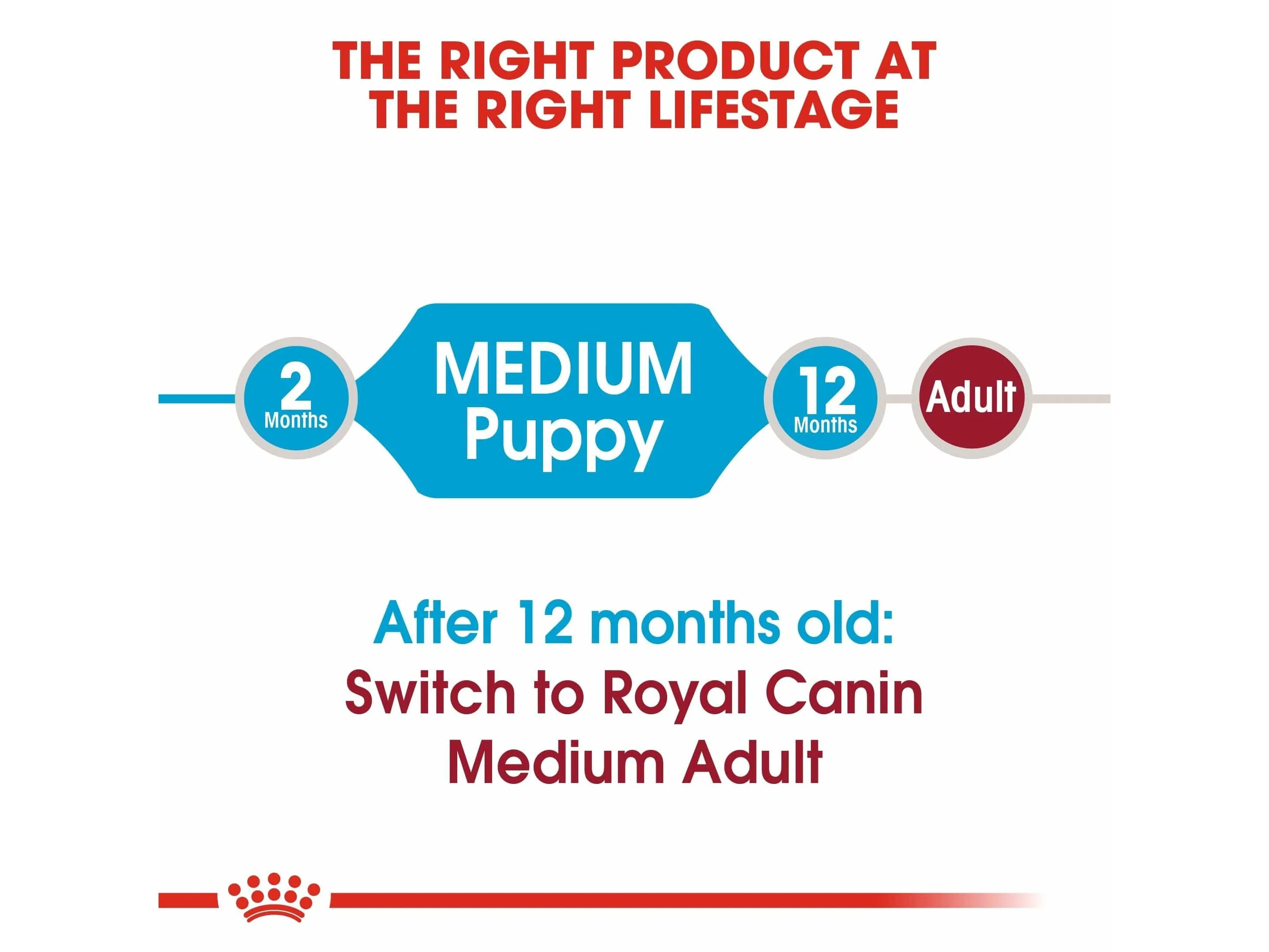 Size Health Nutrition Medium Puppy 4 KG Pets Qatar