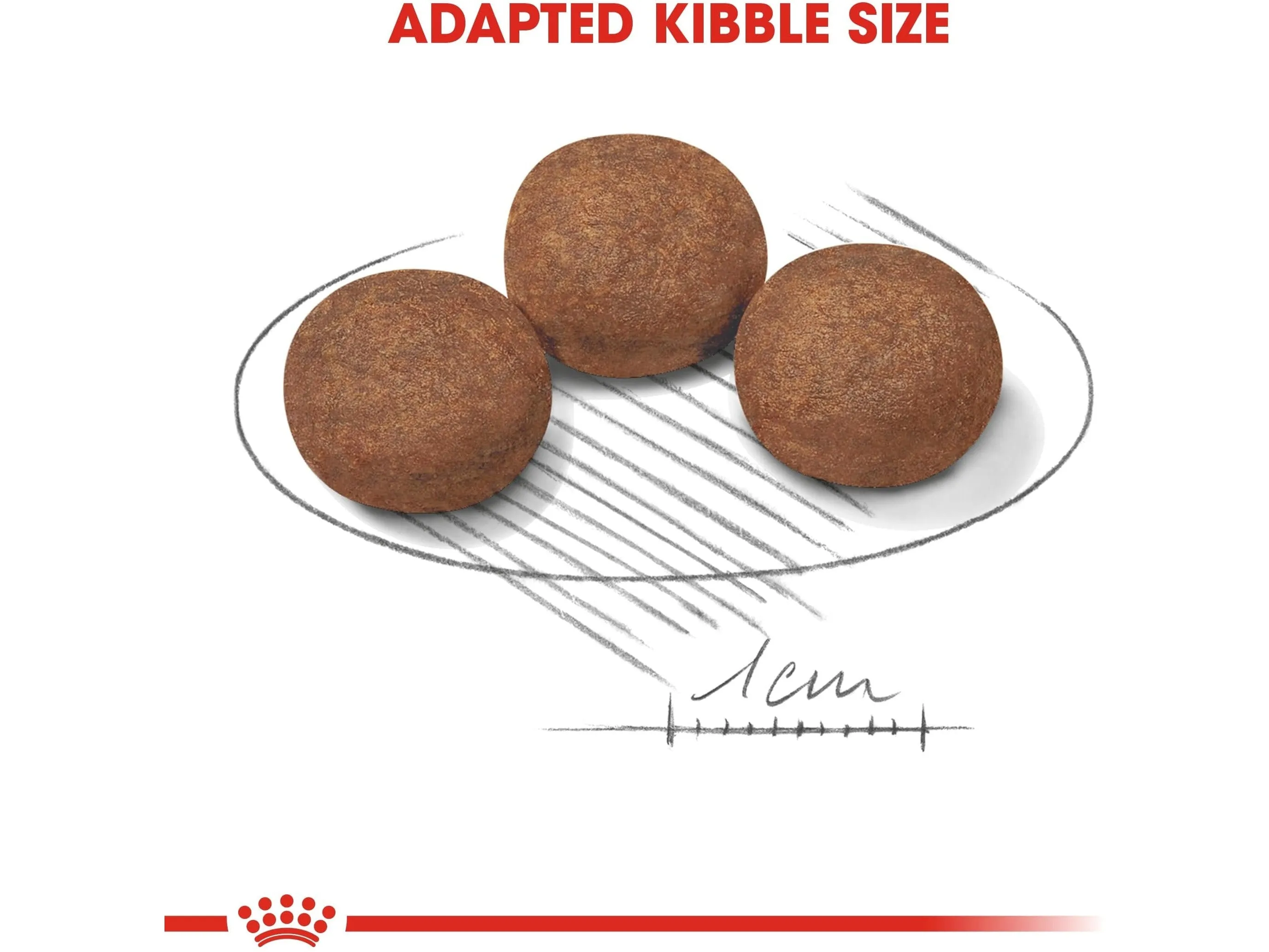 Size Health Nutrition Medium Puppy 4 KG Pets Qatar