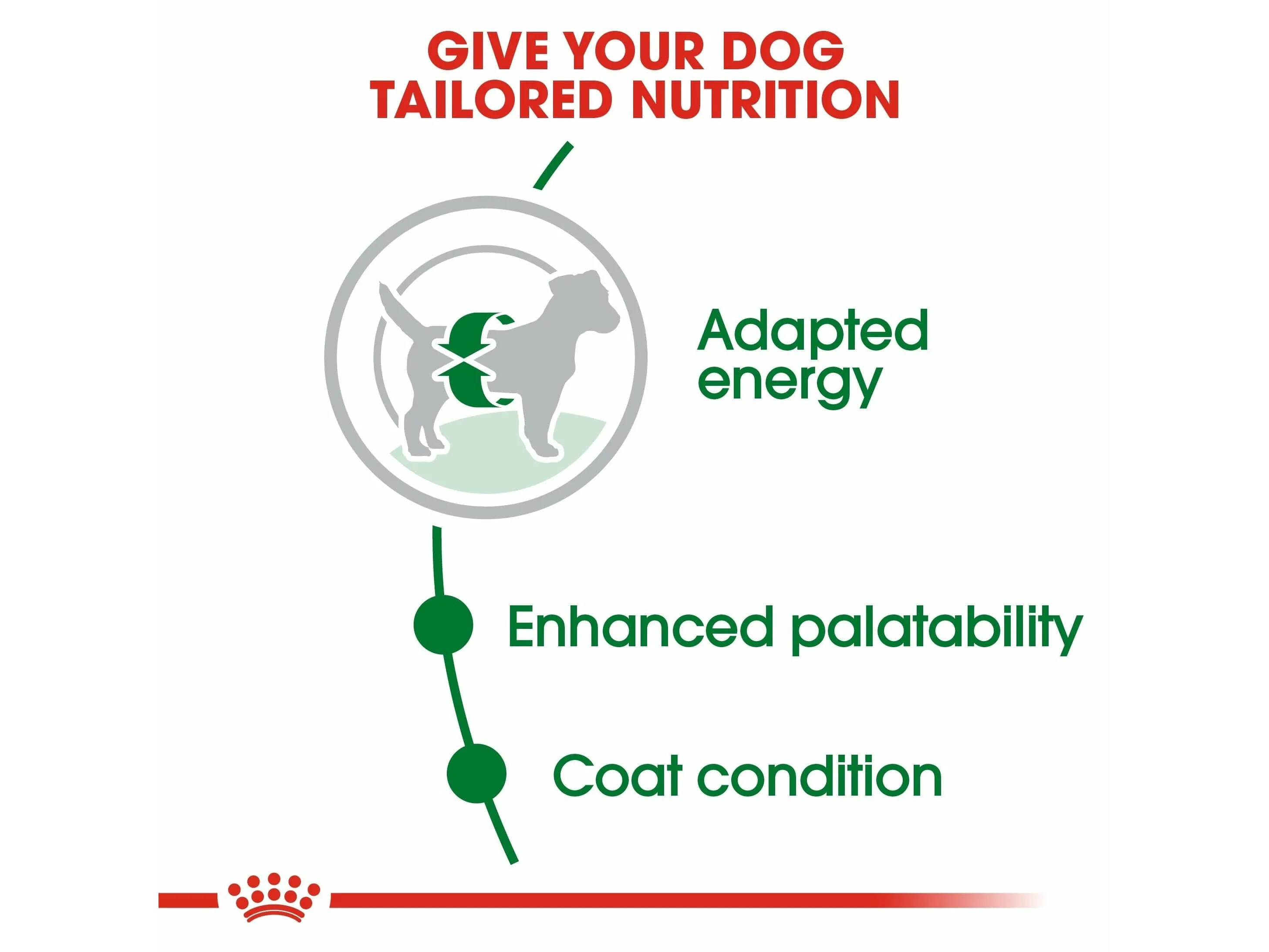 Size Health Nutrition Mini Adult 2 KG Pets Qatar