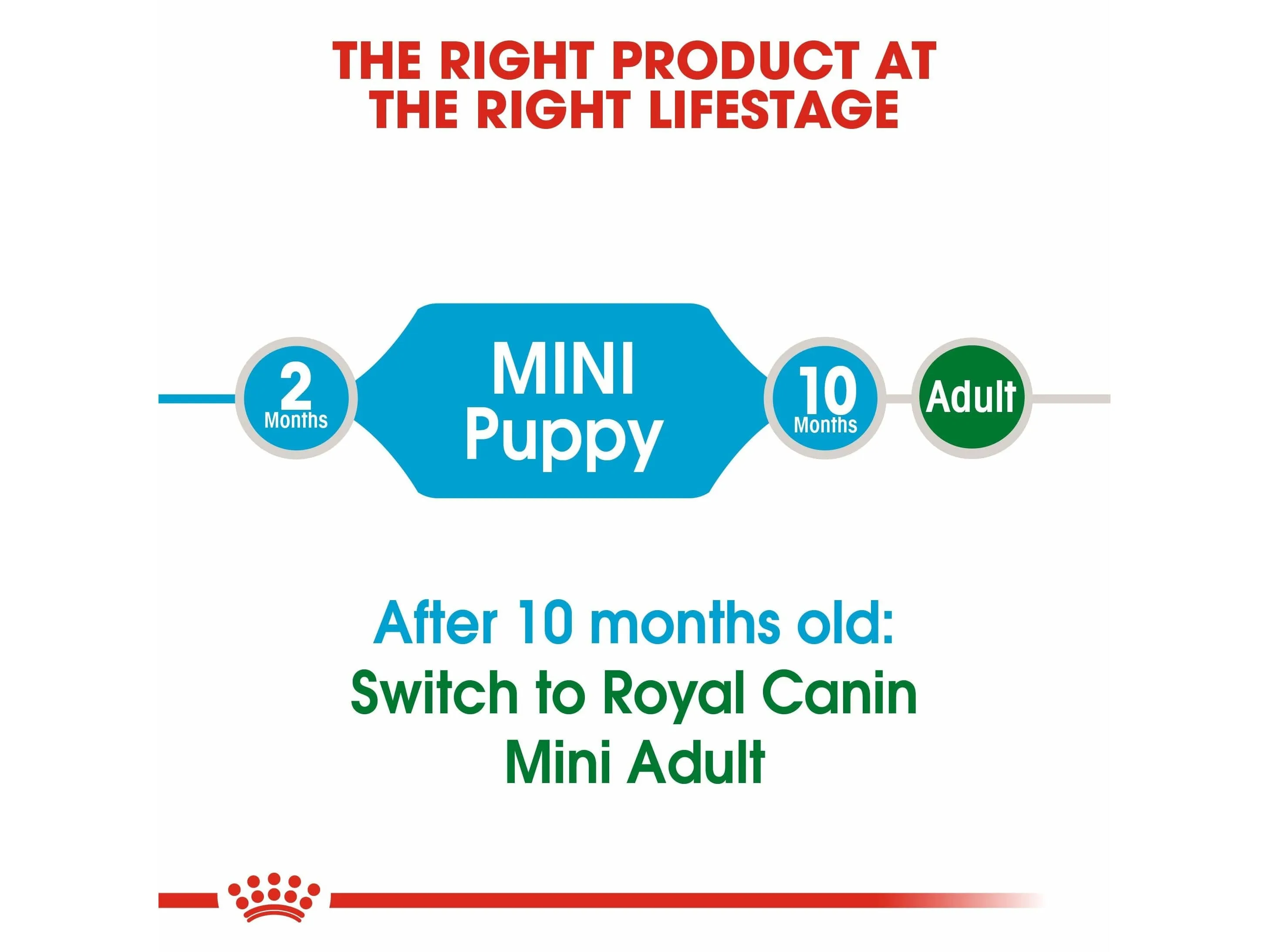 Size Health Nutrition Mini Puppy 8 Kg Pets Qatar
