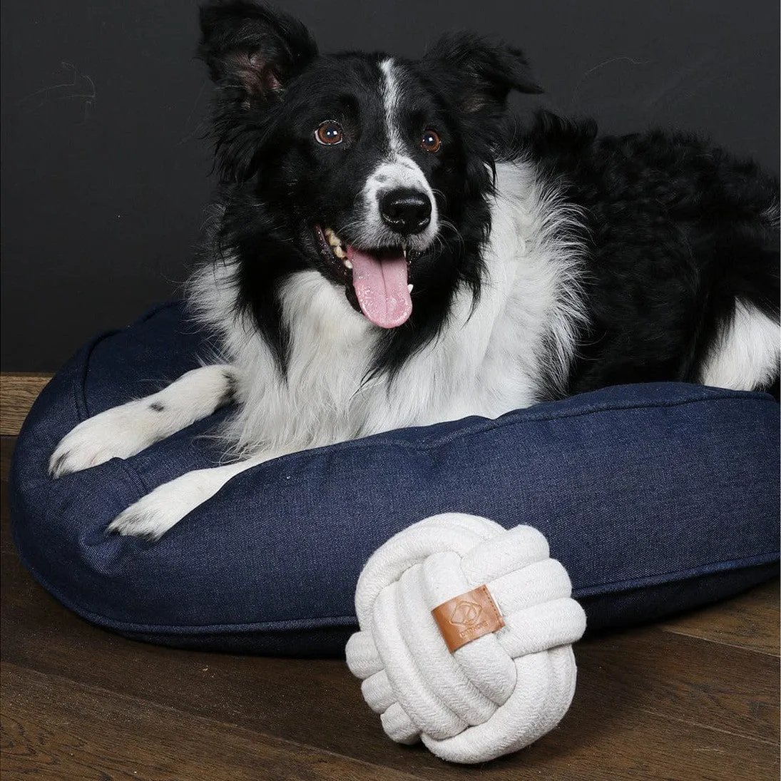 Skip Ball Pets Qatar