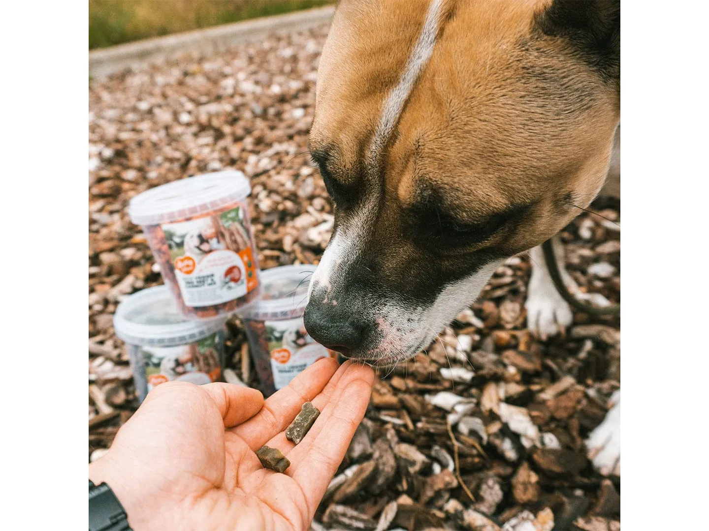 Soft! Eco Veggie Spinach & Pumpkin Mix 500G Pets Qatar